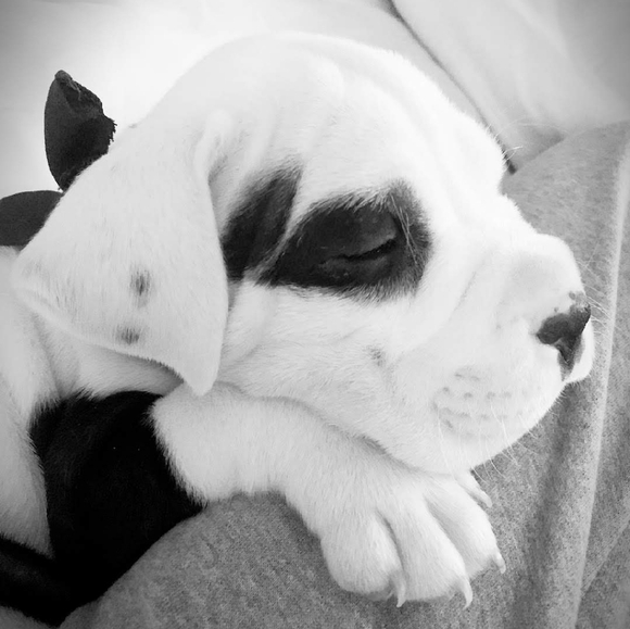 Meet your Posher, Gayla - Picture 3 of 6